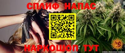 эйфоретик Гай