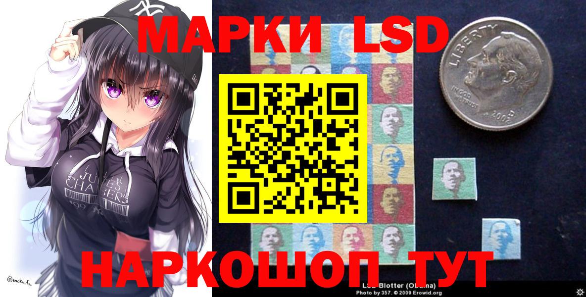 МЕФ Можга