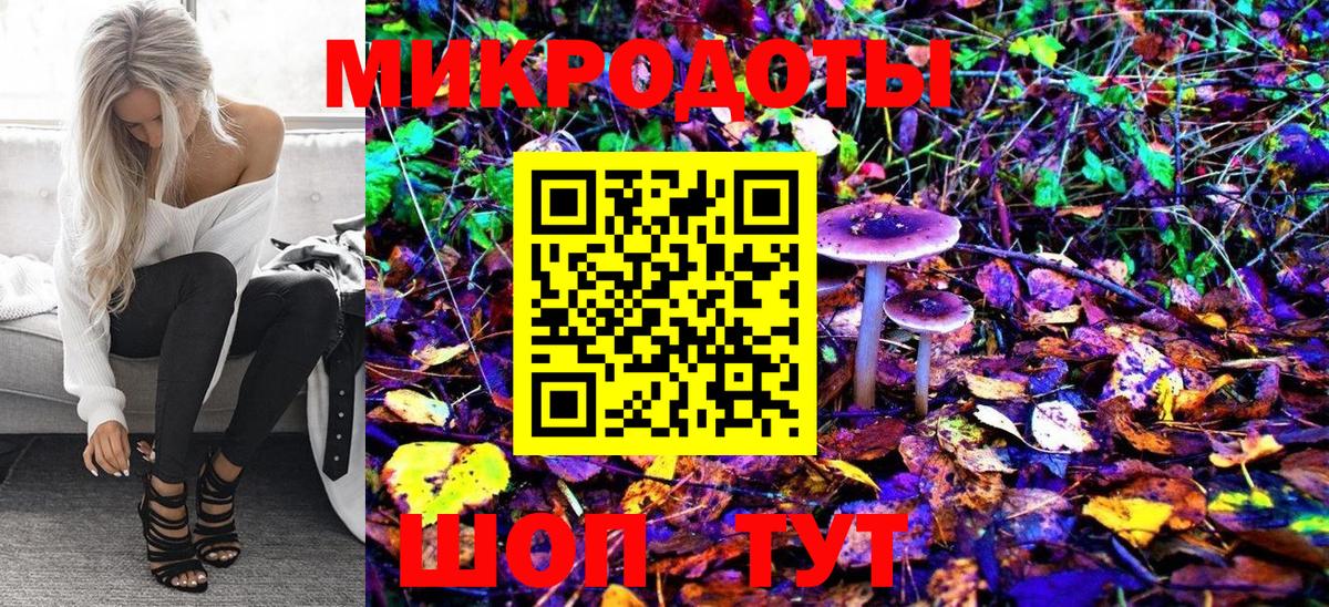 Псилоцибиновые грибы Magic Shrooms Можга
