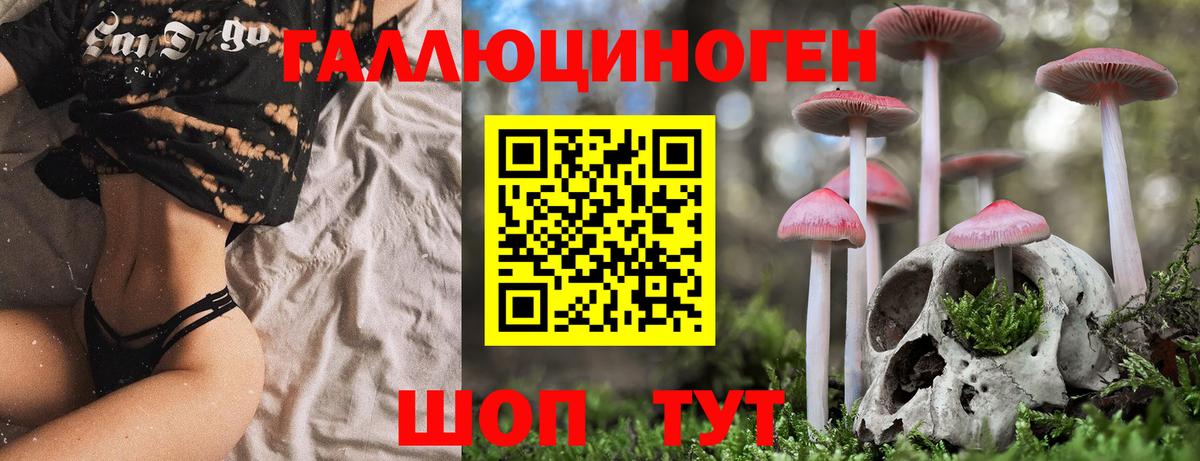 Галлюциногенные грибы Cubensis  Вход с VPN  Можга 